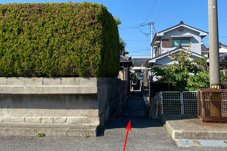 あいご