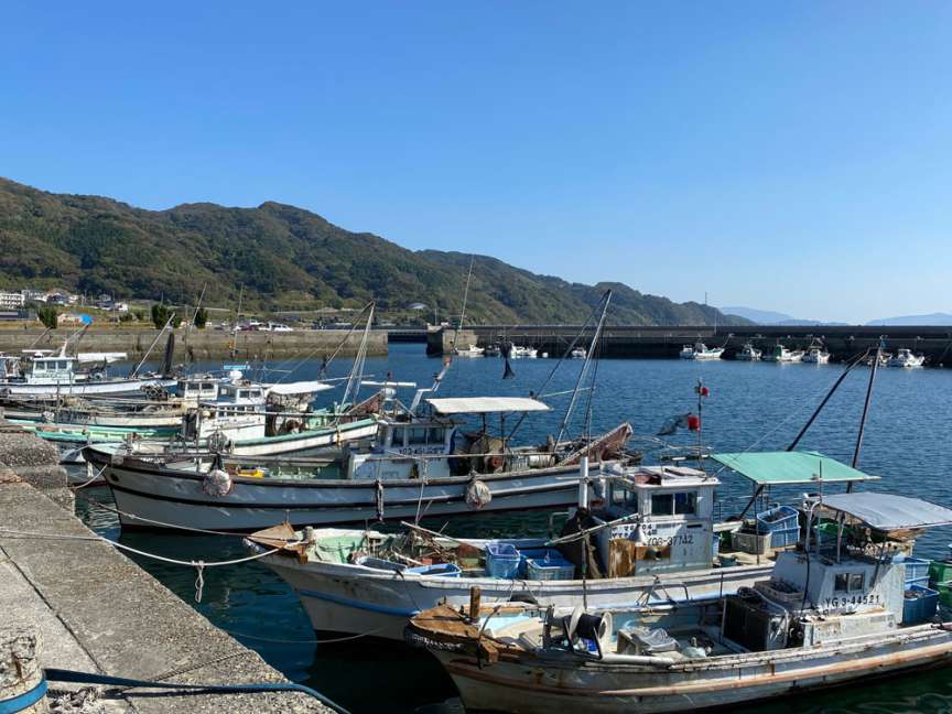 BASEの前が漁港です。