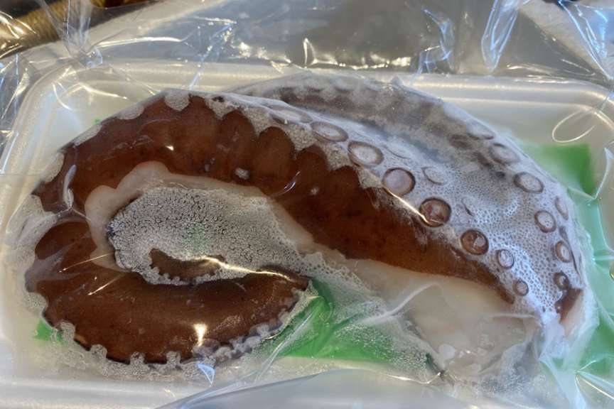 地元で獲れたタコを丁寧に処理しています。瑞穂丸さん。