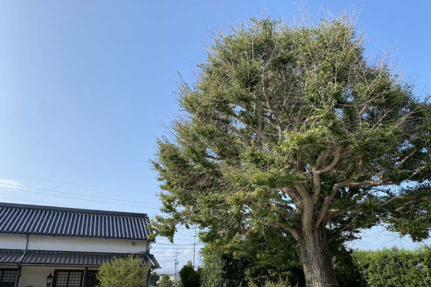 室積散策・光ふるさと郷土館関連画像