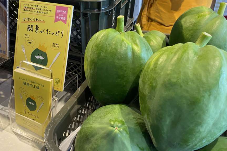 青パパイヤの季節はもう少しです。