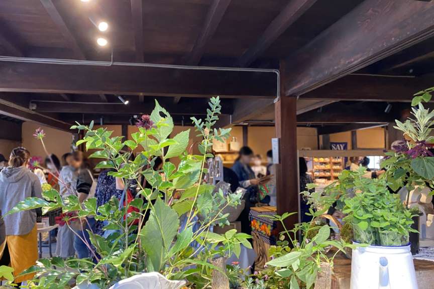 11月2日火曜マルシェ出店情報