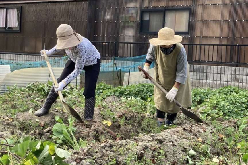 芋ほり隊長と副隊長