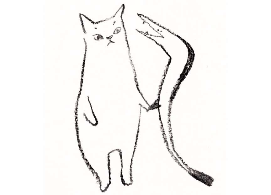 はも吉のご紹介関連画像