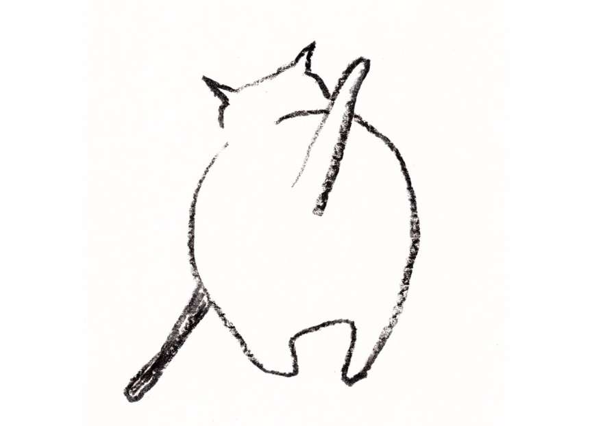 はも吉のご紹介関連画像