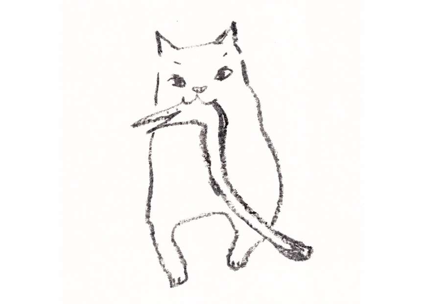 はも吉のご紹介関連画像