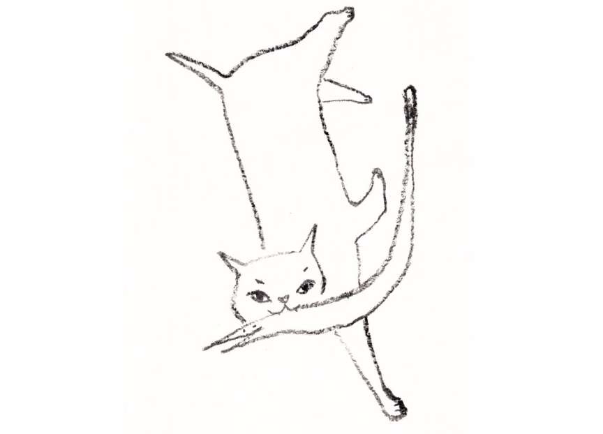 はも吉のご紹介関連画像