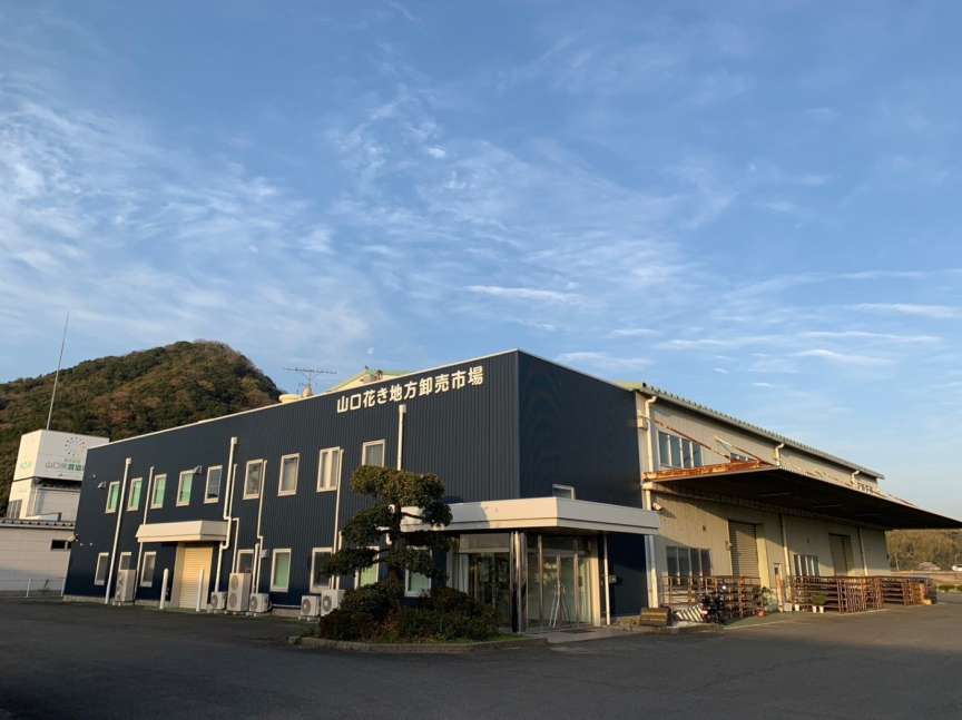 山口市にある山口花き地方卸売市場