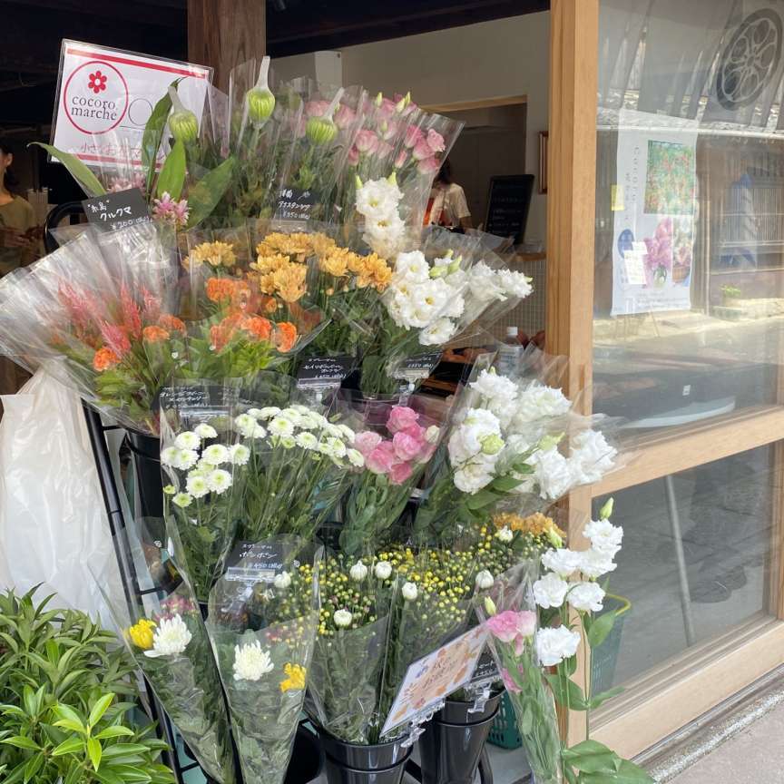 9月26日火曜マルシェ出店情報