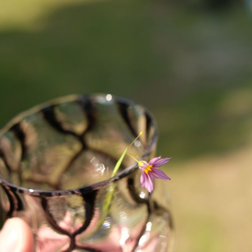 大嶺工房　花弁8 115-00761_m.jpg